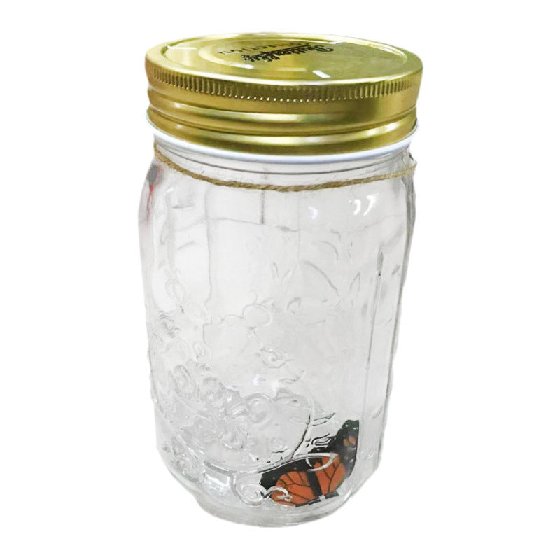 Simulation Butterfly Cute Photo in a Butterfly Jar